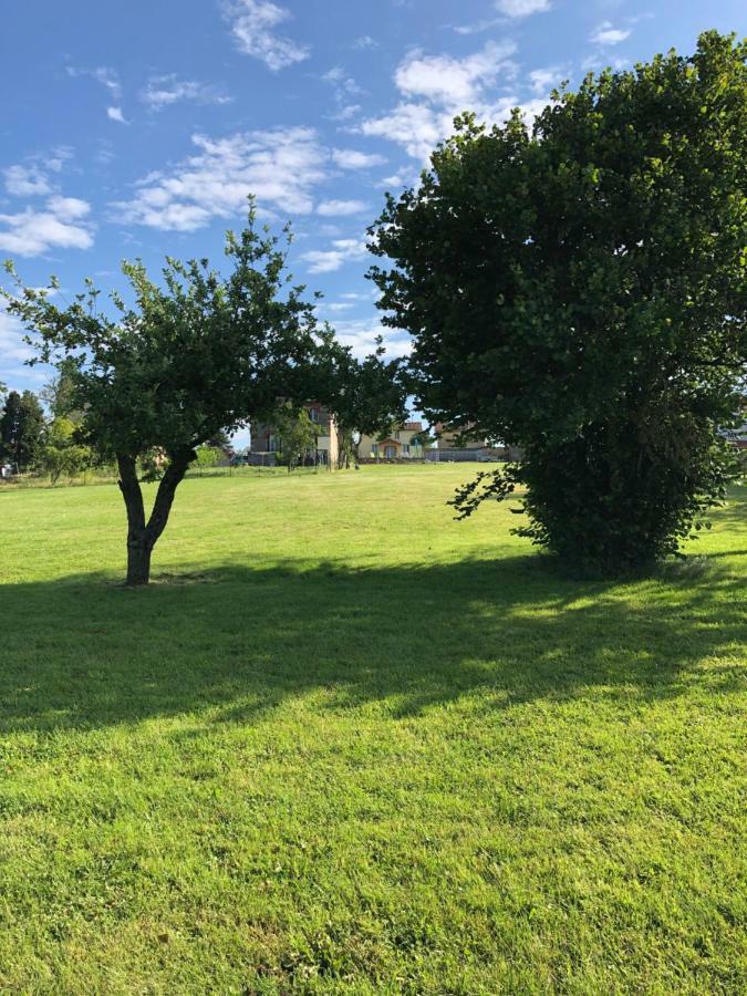Le Dorat The Walnut Tree Gite מראה חיצוני תמונה